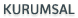 Kurumsal
