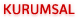 Kurumsal